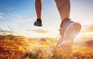 Why-Use-Arch-Support